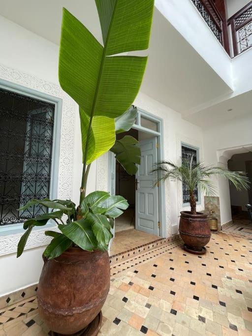 Riad Vivre - Design Boutique Riad In Marrakech Marrakesch Exterior foto